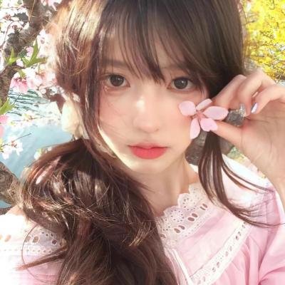 公园里的石头